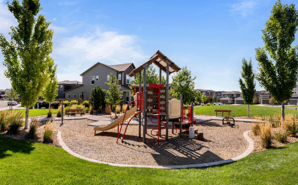 Park Playground